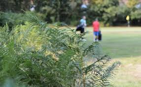 Image result for Thames Ditton & Esher Golf Club