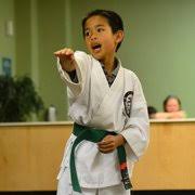 Image result for Apollo Martial Arts Academy