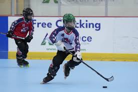 Image result for Vipers Roller Hockey Team