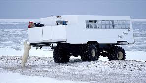 Image result for tundra buggy