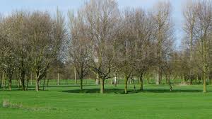Image result for Immingham Golf Club