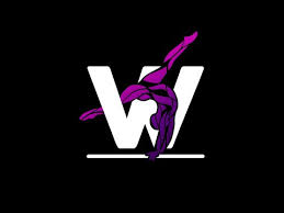 Image result for Weston Aerobic Gymnastics Club