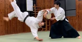 Image result for Matlock Aikido Club