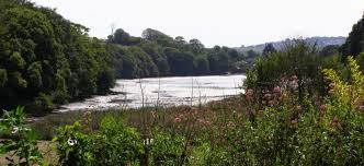 Image result for Kingsbridge Archers, Devon