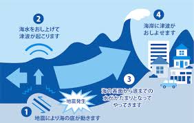 Image result for 耐震 大津波無力