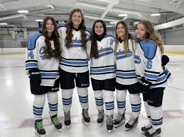 Image result for West Coast Wasps Skater Hockey Club