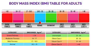 Bildresultat för bmi-tabell