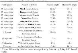 Attēlu rezultāti vaicājumam “Heracleum sosnowskyi fruit”