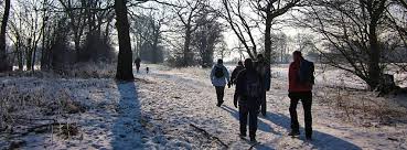 Image result for Mid Surrey Ramblers