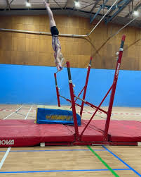 Image result for Thornton Sport Gymnastics