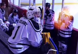 Image result for Streatham Night Wolves Ice Hockey Team