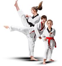 Image result for Highgate Martial Arts Academy