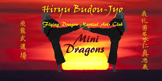Image result for Dragon Wushu Club