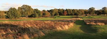 Image result for Walton Heath Golf Club