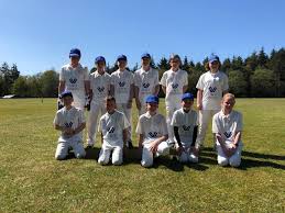 Image result for Halstead Colts Cricket Club