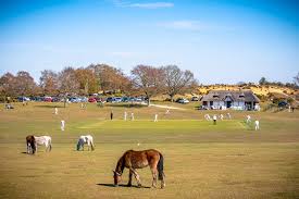 Image result for Lyndhurst Cricket Club