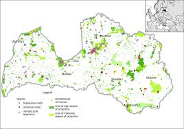 Attēlu rezultāti vaicājumam “Hamatocaulis lapponicus”