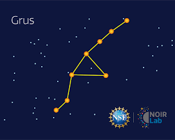 Attēlu rezultāti vaicājumam “Grus grus”