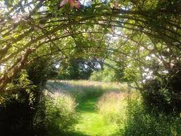 Image result for Priona Tuinen