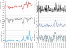 Image result for Vazella pourtalesii