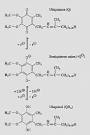 COENZYME Q (UBIQUINONE, UBIQUINOL AND SEMIQUINONE)