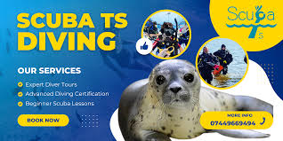 Image result for TAL Divers