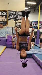 Image result for Avondale Gymnastics Club