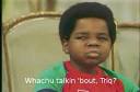 Trig Palin to Star as Arnold Jackson in 'Diff'rent Strokes' Movie ...
