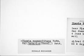 Attēlu rezultāti vaicājumam “Timmia megapolitana”