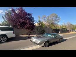 Image result for Platinum 1979 Jaguar