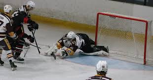 Image result for Tynemouth Hockey Club