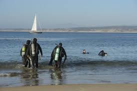 Image result for Breakwater Divers