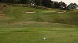 Image result for Carlow Golf Club