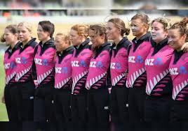 Image result for Redoubtables Womens Cricket Club