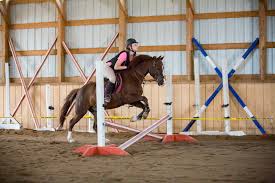Image result for Annandale Equestrian Centre