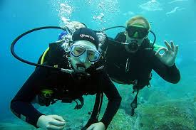 Image result for Canary Divers