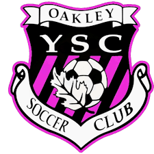 Image result for Ockley Acorns Junior F C