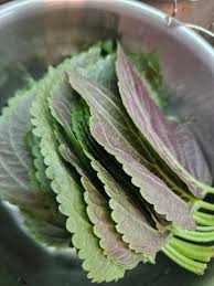 Image result for 깱깲깳깴깵깶깷깺깾깿꺀꺁꺂꺃꺆꺇꺈꺉꺊꺋꺍꺎꺏꺐