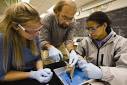 Undergraduate Research