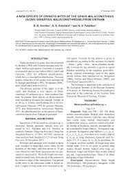 Attēlu rezultāti vaicājumam “Belbodamaeus sp.”