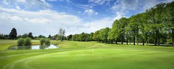 Image result for Aldwickbury Park Golf Club