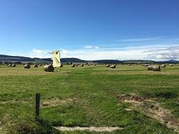 Image result for Paragon Skydiving