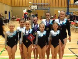 Image result for Vernon Park Gymnastics