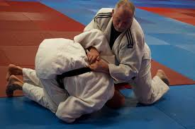 Image result for Aylwin Judo Club