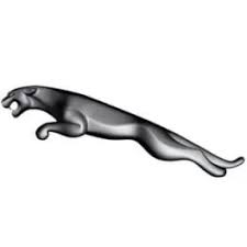 Image result for Argent Silver 1981 Jaguar