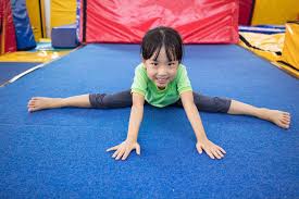 Image result for Tessaro Gymnastics Club