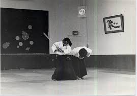 Image result for Moslin & Dewandre Aiki Dojo