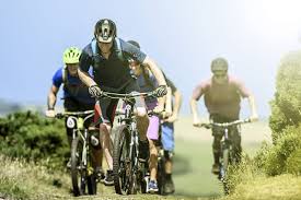 Image result for Porlock Vale Riding School