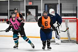 Image result for Gregarians Ladies Hockey Club