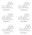 aflatoxin